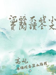 沉醉不醒小说免费阅读全文无弹窗