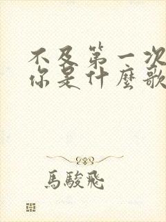 不及第一次遇见你是什么歌的歌词