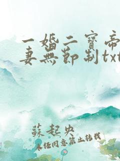 一婚二宝帝少宠妻无节制txt下载