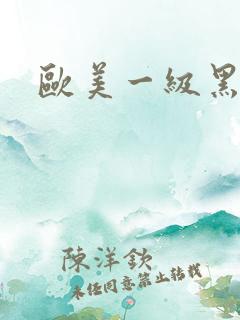 欧美一级黑人片