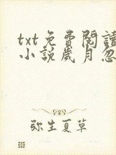 txt免费阅读小说岁月忽已暮姜河