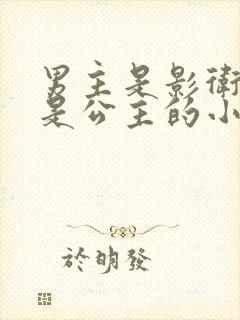 男主是影卫女主是公主的小说