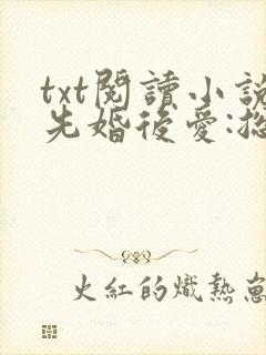 txt阅读小说先婚后爱:总裁老公狂宠妻