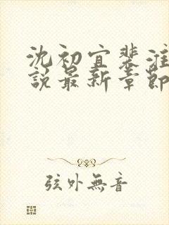 沈初宜裴淮聿小说最新章节免费阅读