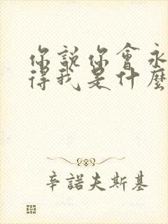 你说你会永远记得我是什么歌