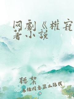 网剧《权宠》原著小说