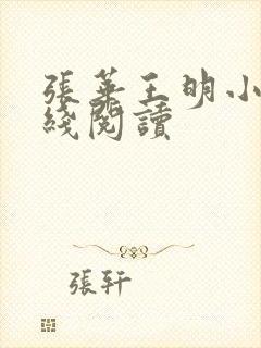 张华王明小说在线阅读