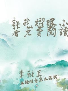 许我耀眼小说原著免费阅读