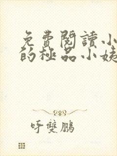 免费阅读小说我的极品小姨