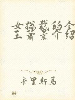 女总裁的全能兵王萧晨介绍