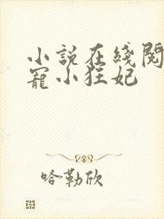 小说在线阅读绝宠小狂妃