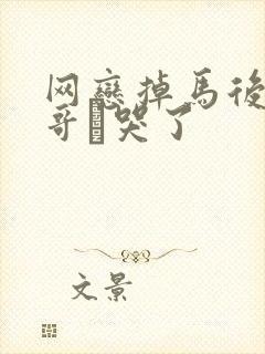 网恋掉马后被哥哥鈤哭了