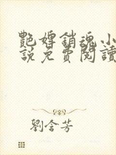 艳婢销魂小桃小说免费阅读古代