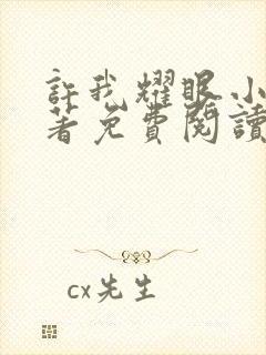 许我耀眼小说原著免费阅读