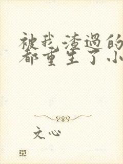 被我渣过的男主都重生了小说