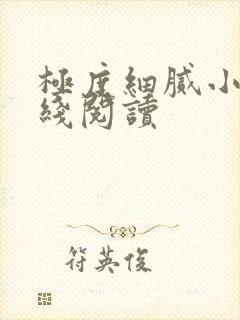 极度细腻小说在线阅读