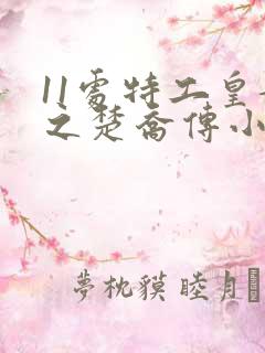 11处特工皇妃之楚乔传小说