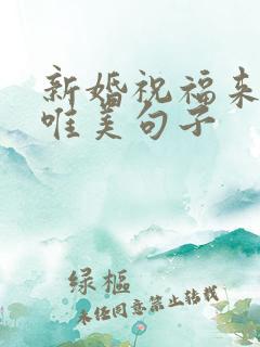 新婚祝福来宾的唯美句子