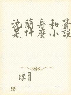 沈兰舟和萧策安是什么小说