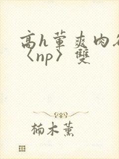 高h荤爽肉欲文〈np〉双