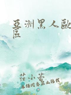 亚洲黑人欧美二区