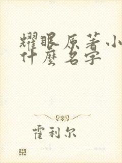 耀眼原著小说叫什么名字