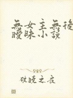 无女主无后宫无暧昧小说