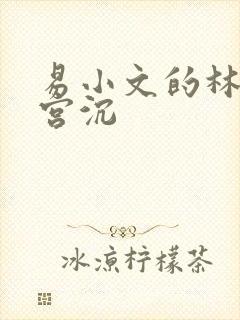 易小文的林知意宫沉