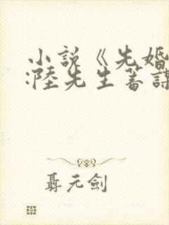 小说《先婚后爱:陆先生蓄谋已久》