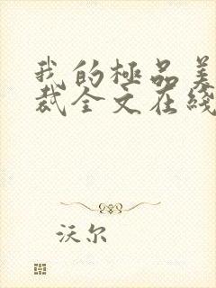 我的极品美女总裁全文在线阅读