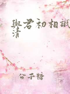 与君初相识 高清