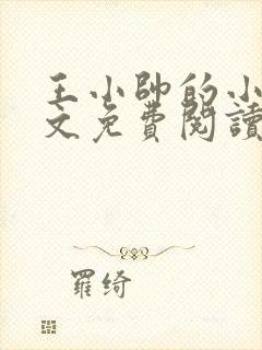 王小帅的小说全文免费阅读无弹窗