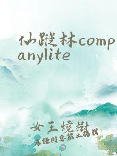 仙踪林companylite