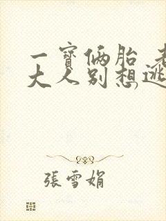 一宝俩胎 老婆大人别想逃