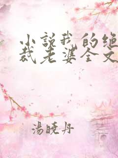 小说我的绝美总裁老婆全文阅读