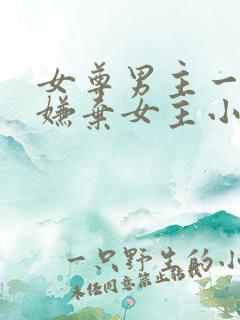 女尊男主一开始嫌弃女主小说