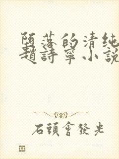 堕落的清纯校花赵诗宁小说免费阅读