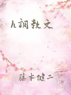 h调教文