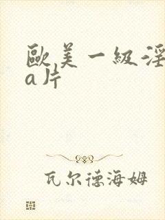欧美一级淫aaa片