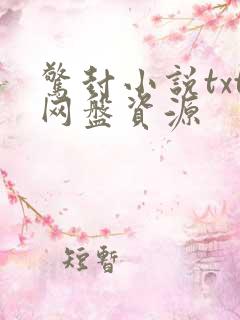 惊封小说txt网盘资源