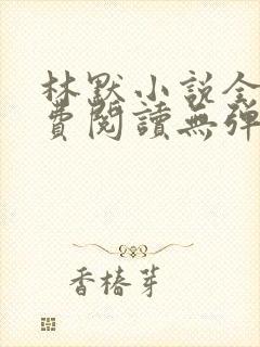 林默小说全文免费阅读无弹窗