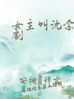 女主叫沈念的短剧