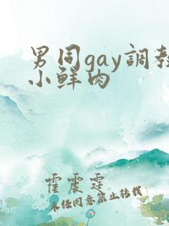 男同gay调教小鲜肉