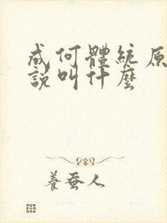 成何体统原著小说叫什么