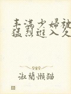 丰满少妇被猛男猛烈进入久久