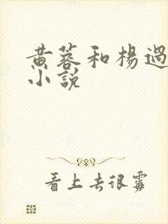 黄蓉和杨过云雨小说