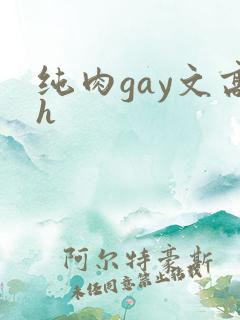 纯肉gay文高h
