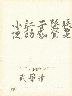 小肚子坠胀想大便的感觉是怎么回事