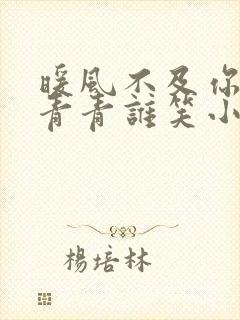 暖风不及你情深青青谁笑小说全集看