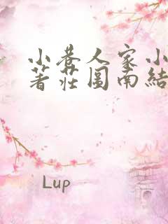 小巷人家小说原著庄图南结局